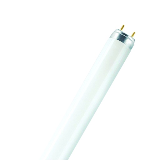[ILU.06.465] [FO96/765] OSRAM Tubo fluorescente T8, 59W, 6500K, luz blanca